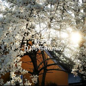 献天缘（DJ阿布Remix）
