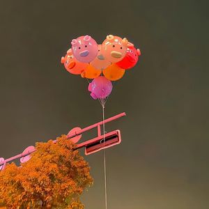 青柠（DJ小辞Remix）