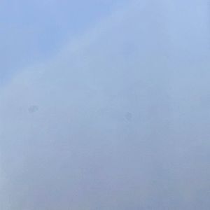 野草与栀子花（怎配得上栀子花）