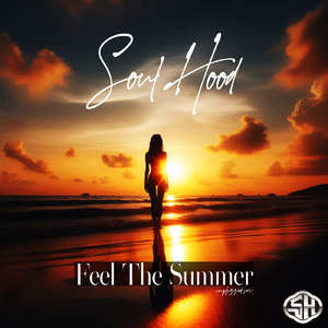 Feel The Summer (unplugged ver.)