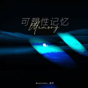 可塑性记忆