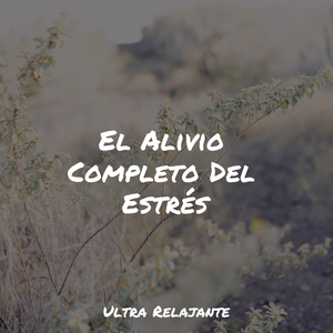 Florecimiento Del Amor