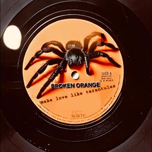 E.C. (Make love like tarantulas)