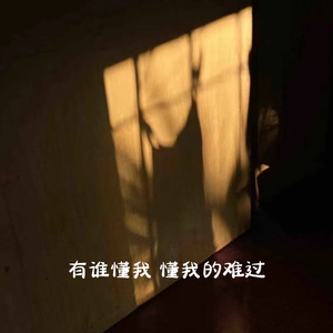 有谁懂我懂我的难过