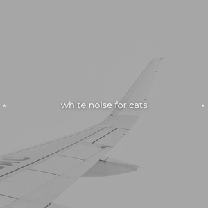 White Noise Black Screen