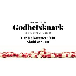 Godhetsknark (feat. Magnus Johansson)