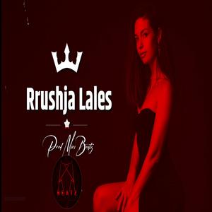 Rrushja e Lales (Albanian G-House Music)
