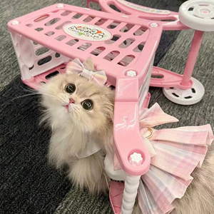 爱情（听窗外的雨）