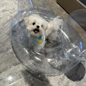 往后余生4