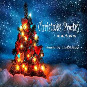 圣诞节的诗-刘子良