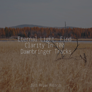 Unleashed Beat Blitz