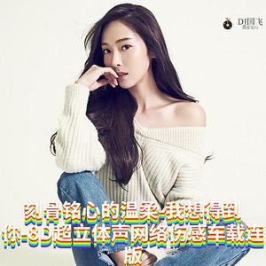 DJ国飞-刻骨铭心的温柔-我想得到你-8D超立体声网络伤感车载连版（DJ国飞 remix）