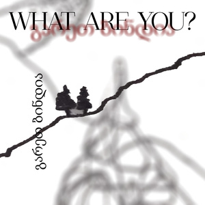 გარეთ ბინდია