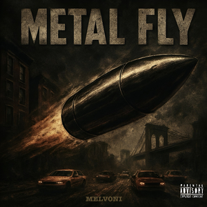 Metal Fly