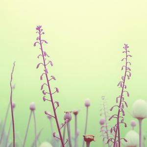 お化けを寄せ付けないために