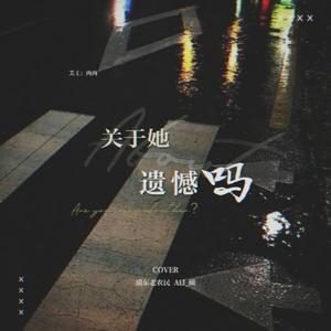 河佑镇-关于她遗憾吗（AiJ_硕 / 浦东老农民 remix）