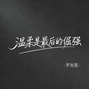 温柔是最后的倔强（激情版）