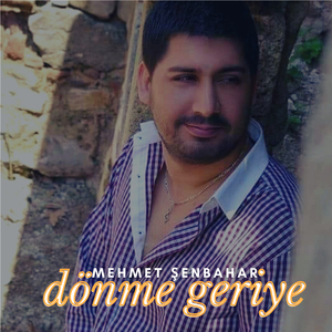 Dönme Geriye