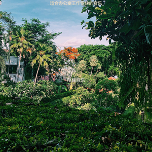 适合办公室工作愉快的音乐