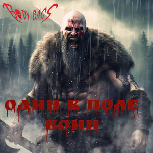 Один в поле воин