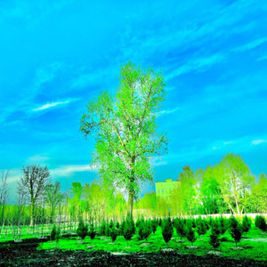 Ягодное лукошко (Россия - пирог)