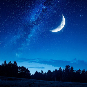 Ecos Desde Lo Desconocido