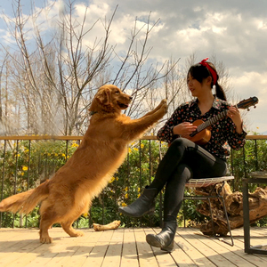 如果有来生（翻自 谭维维）