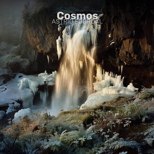 Cosmos