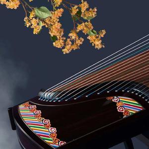 关山月 (古筝独奏)