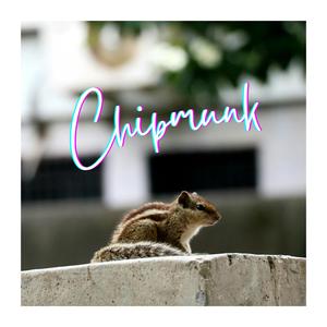 Chipmunk