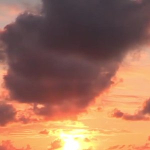 提笔忘情  关心