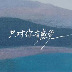 只对你有感觉  (Remix)
