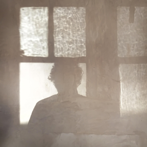 VI Mi Sombra (feat. Manuel Mercado)