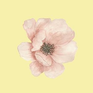 我要开单！！（rnb beat）