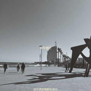 适合旅馆正宗的音乐