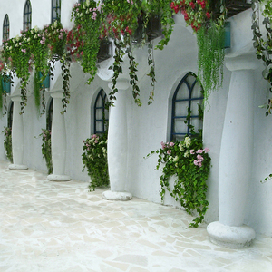 accolade