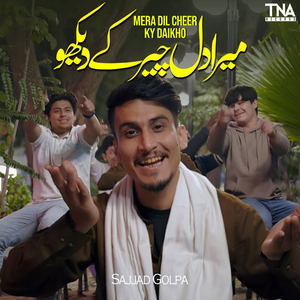 Mera Dil Cheer Ky Daikho