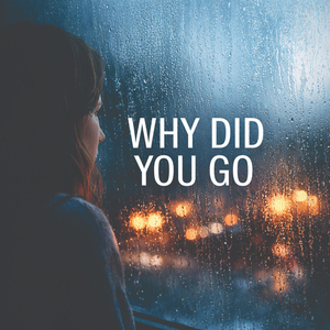 Why Did You Go