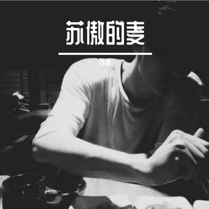 苏傲的喊麦串烧1