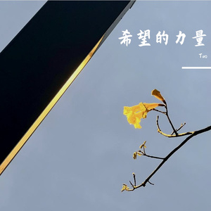 简单的为你唱首歌