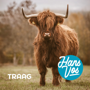Traag