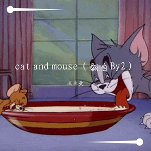 cat and mouse