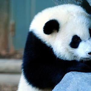 至清至明，温暖希望