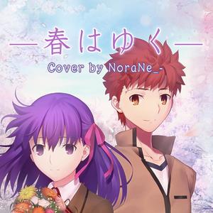 【Fate/Heaven's feel】春はゆく/ 春逝（翻自 Aimer）