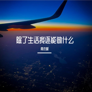 除了生活我还能做什么