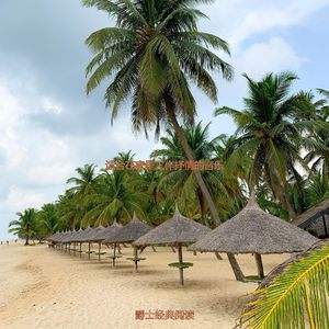 适合在家里工作优秀的音乐