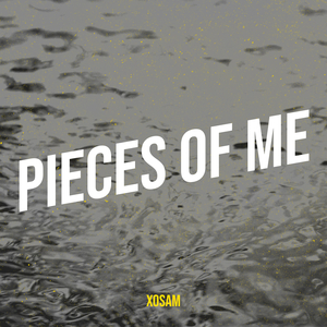 Pieces of Me