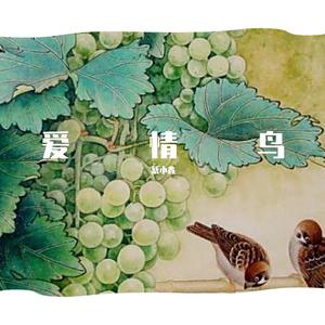 爱情鸟