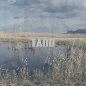 Tard