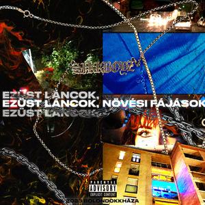 EZÜST LÁNCOK
